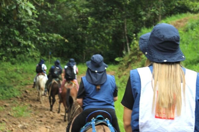 690decf4-d408-4382-8cab-808a4bd4a92e