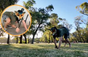 Therians: una generación que no se siente humana