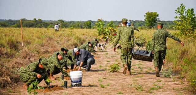 d656b41f-451c-4ea5-b803-f76b8fd0ba9b