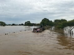El Niño deja pérdidas por $47.000 millones al sector ganadero
