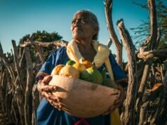 Fundación Alpina abre convocatoria para impulsar iniciativas rurales y la seguridad alimentaria