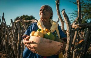 Fundación Alpina abre convocatoria para impulsar iniciativas rurales y la seguridad alimentaria