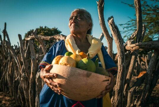 Fundación Alpina abre convocatoria para impulsar iniciativas rurales y la seguridad alimentaria